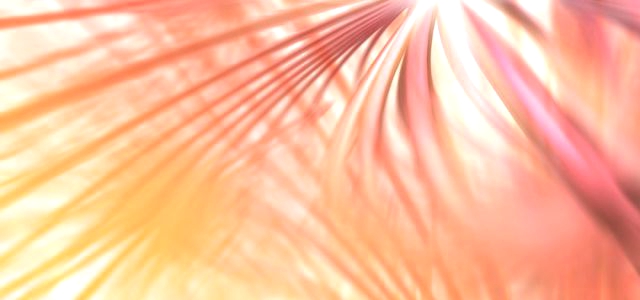 ビジネスチャンスとして期待できるWEBサービス